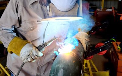 Pet Food Processing Plant Malfunction